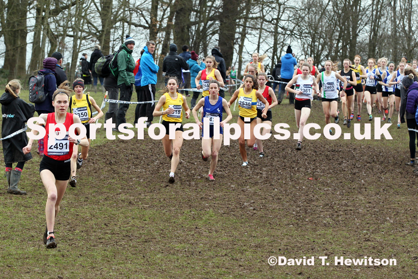 Womens under-20s, 2020 British Athletics Inter Counties Cross Country Champs., Prestwold Hall, Loughborough. Photo: David T. Hewitson/Sports for All Pics